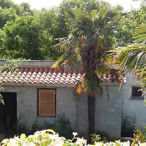 Appartamento Tomato, Pola